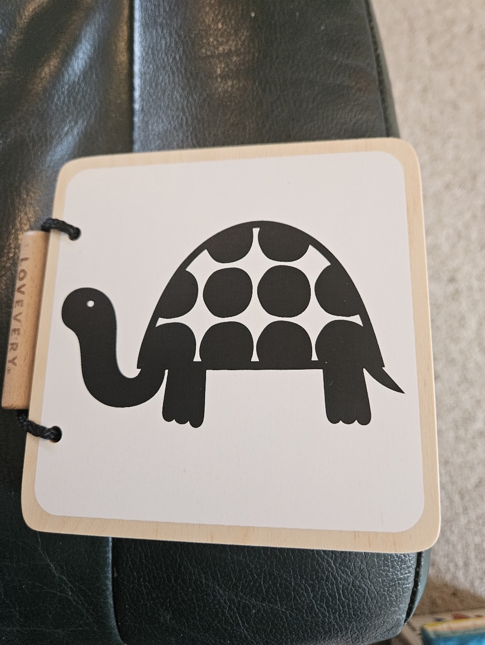 Black Turtle Graphic Wooden Learning Book